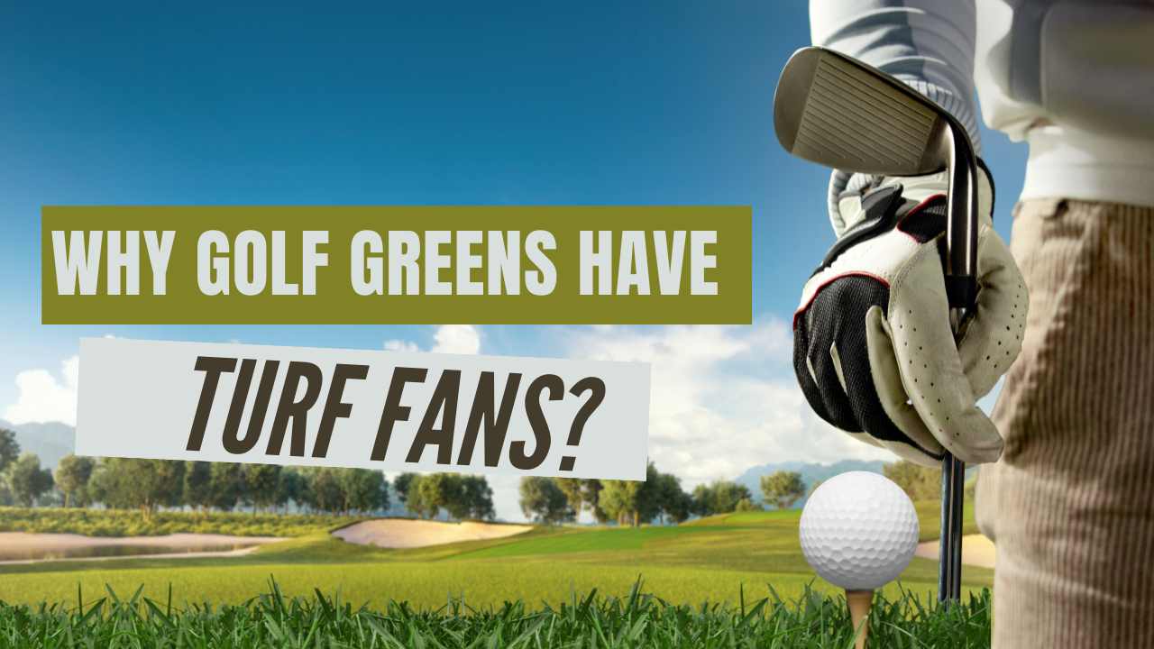 turf fans on golf green